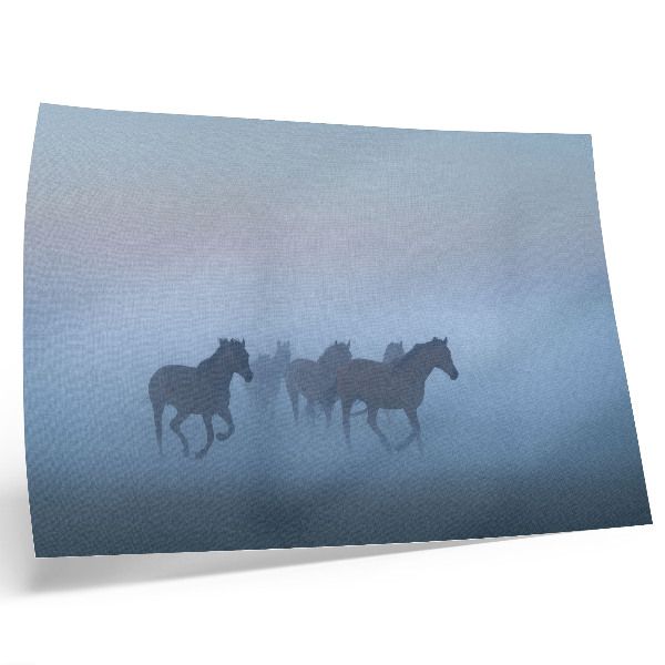 Poster Horses in the Fog, a calming composition full of peace