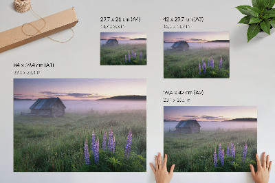 Decorative canvas print Wooden cottage picturesque fog flowers nature