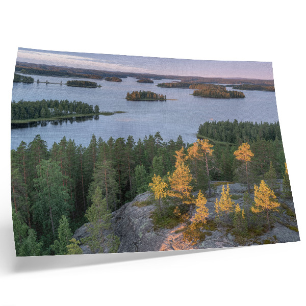 Poster Pine forest island lake pastel sky