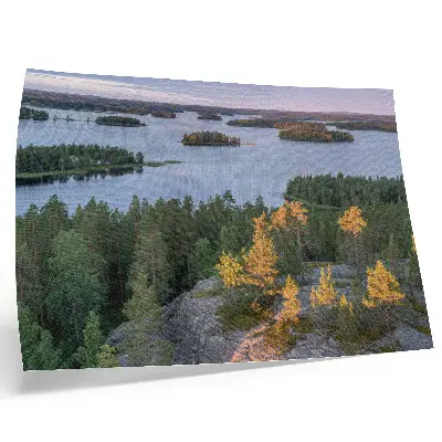 Poster pine forest island with a pastel lake sky