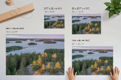 Poster Pine forest island lake pastel sky