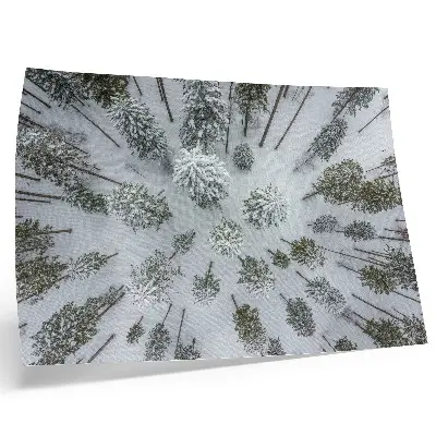 Photo canvas minimalist winter forest in a peaceful natural setting