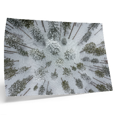 Photo canvas Winter forest peace minimalism naturalness