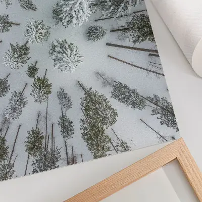 Photo canvas minimalist winter forest in a peaceful natural setting
