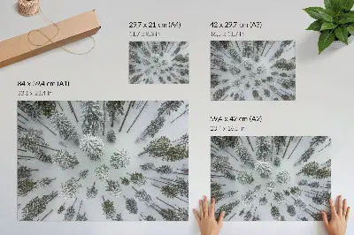 Photo canvas minimalist winter forest in a peaceful natural setting