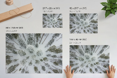 Photo canvas Winter forest peace minimalism naturalness