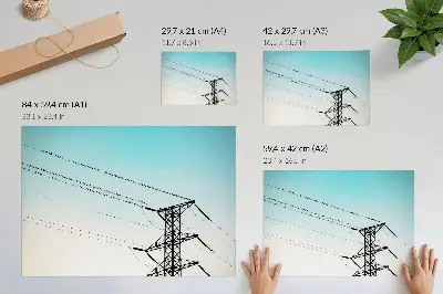 Decorative canvas print birds on power lines against a blue sky