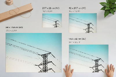 Decorative canvas print Birds on power lines blue sky