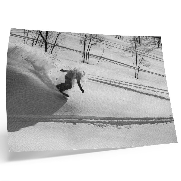 Poster Snowboarder in action snow trees contrasts