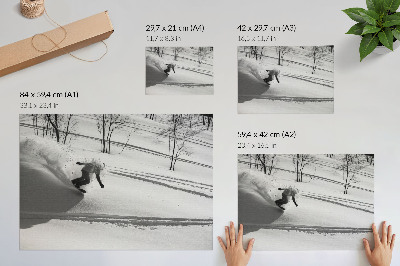 Poster Snowboarder in action snow trees contrasts