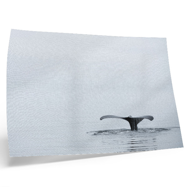 Poster Whale tail above water minimalism harmony