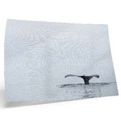 Whale tail above water minimalism harmony poster minimalist whale tail art print