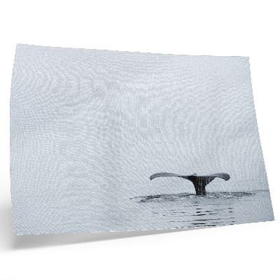 Poster Whale tail above water minimalism harmony