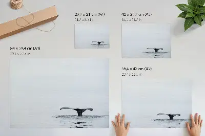 Whale tail above water minimalism harmony poster minimalist whale tail art print