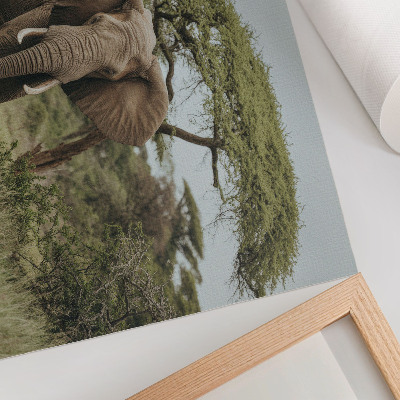 Poster An elephant against the background of a green savannah