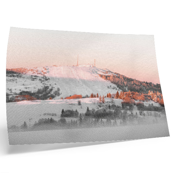 Photo canvas A winter landscape in shades of pink and white
