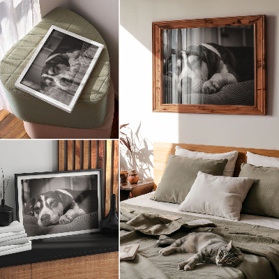 Decorative canvas print Adorable dog sleeping on a pillow