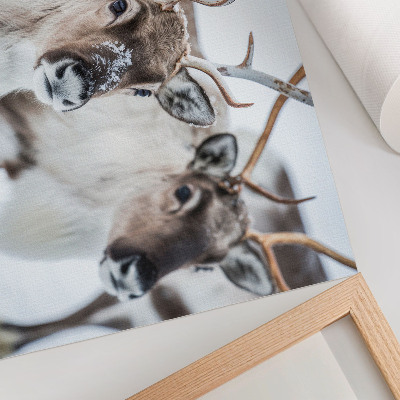 Poster Reindeer with natural antlers winter landscape harmony