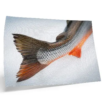 Photo canvas featuring natural scales and dynamic colors in close-up
