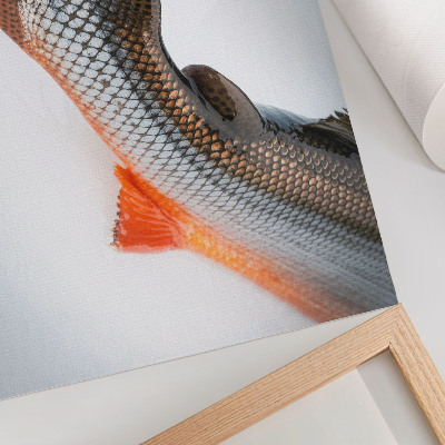 Photo canvas Natural scales and dynamic colors in close-up