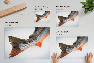 Photo canvas Natural scales and dynamic colors in close-up