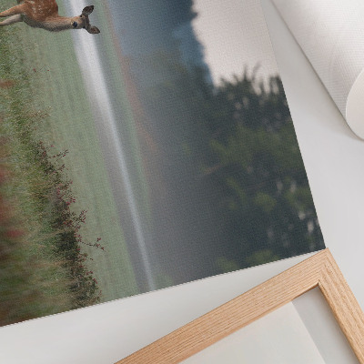 Poster Deer against the background of misty meadows and forest