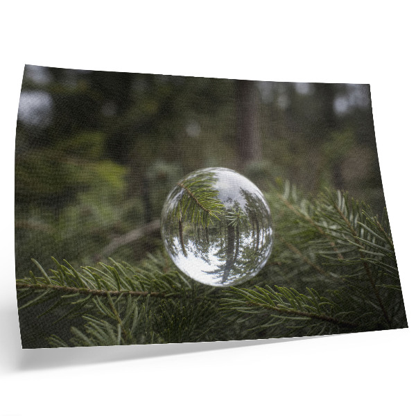 Photo canvas A crystal ball against a pine branch background