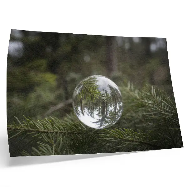 Photo canvas crystal ball against a pine branch background