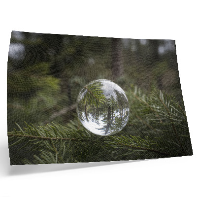 Photo canvas A crystal ball against a pine branch background