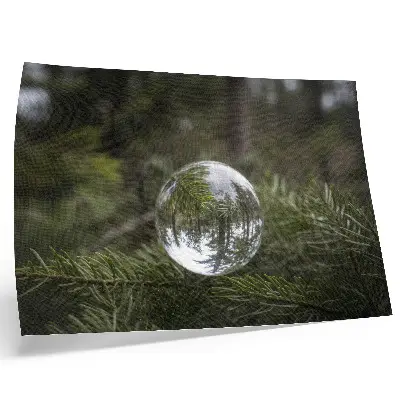 Photo canvas crystal ball against a pine branch background