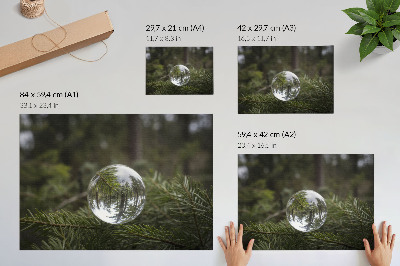 Photo canvas A crystal ball against a pine branch background