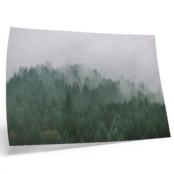 Decorative canvas print A misty panorama of the forest full of green and gray