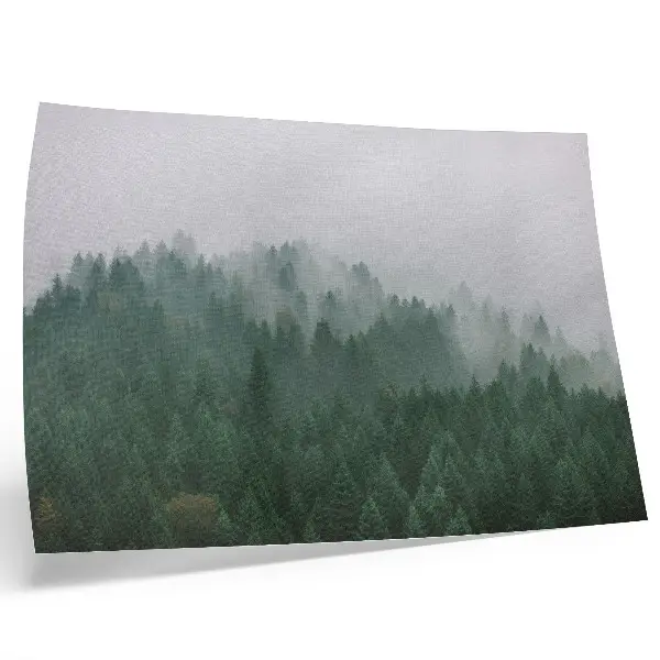 Decorative canvas print Misty forest panorama in shades of green and gray
