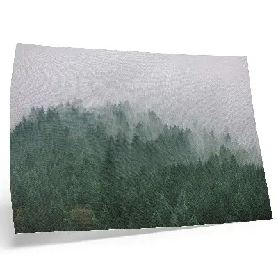 Decorative canvas print Misty forest panorama in shades of green and gray