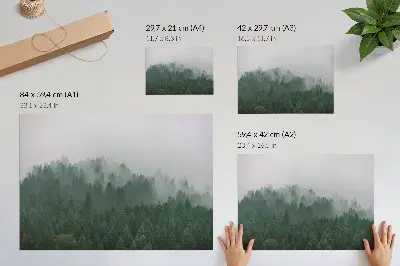 Decorative canvas print Misty forest panorama in shades of green and gray