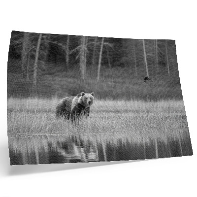 Poster Bear by the water black and white atmosphere