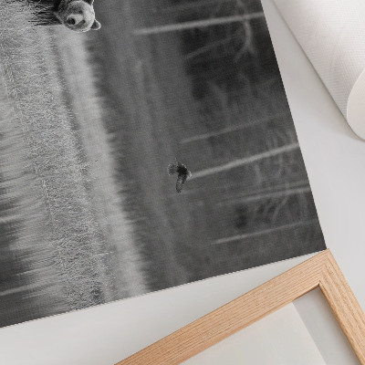 Poster Bear by the water black and white atmosphere