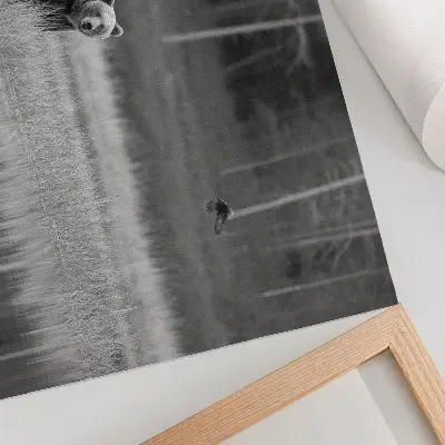 Poster bear by the water in atmospheric black and white