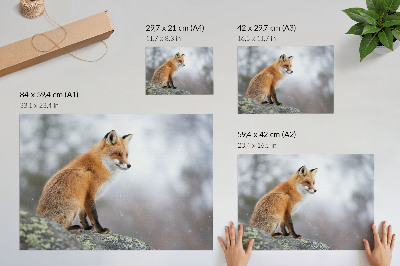 Decorative canvas print Fox in the winter scenery, gentle peace of nature