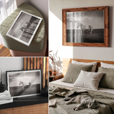 Photo canvas White horses against a meadow in shades of gray