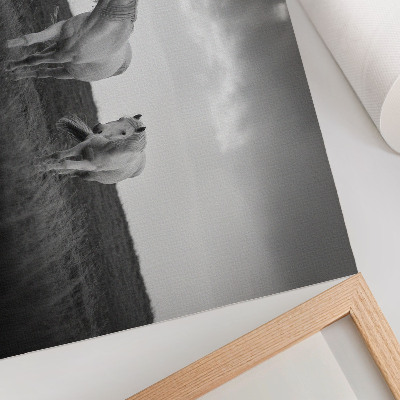 Photo canvas White horses against a meadow in shades of gray