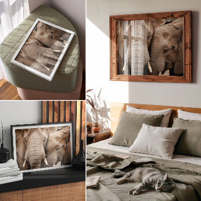 Photo canvas Two large elephants closeness warm shades