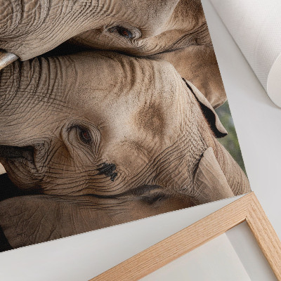 Photo canvas Two large elephants closeness warm shades