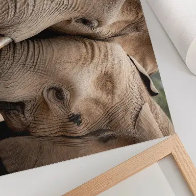 Photo canvas two large elephants with warm shades