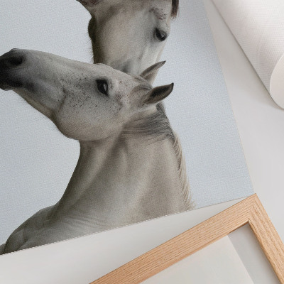 Poster Two horses in harmony of gray and white
