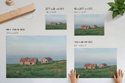 Poster Rustic buildings green meadows sea