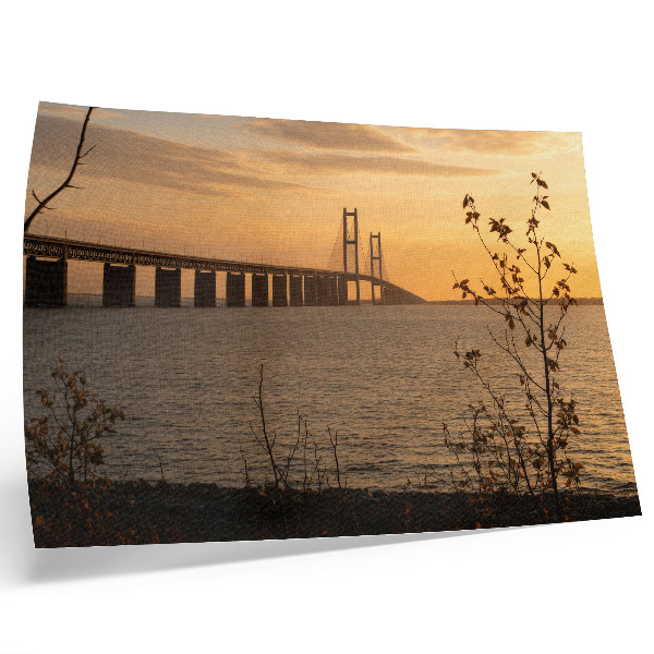 Photo canvas Bridge at sunset with a tree