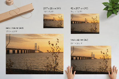 Photo canvas Bridge at sunset with a tree