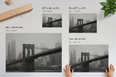 Photo canvas The bridge and the city in shades of gray, peace and elegance