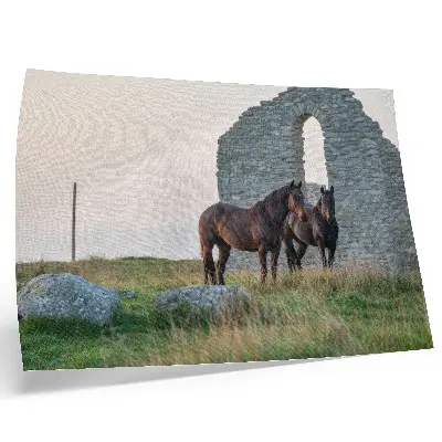 Decorative canvas print featuring a contrast of ruins and horses in the greenery
